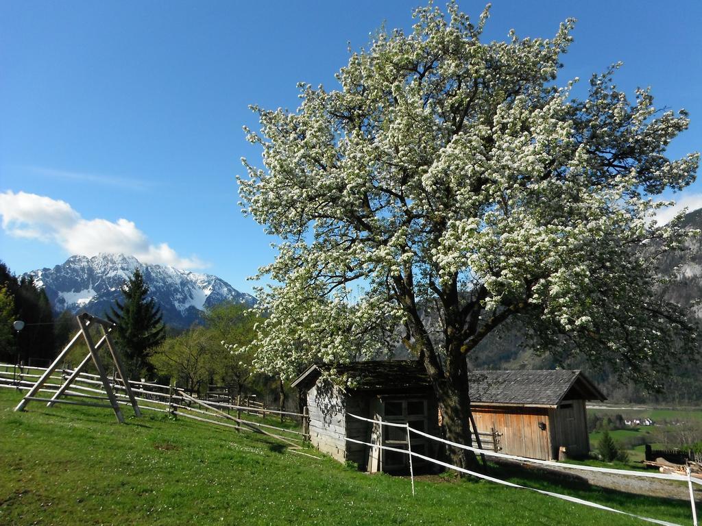 Berghof Thurnergut Spital Am Pyhrn Exterior photo